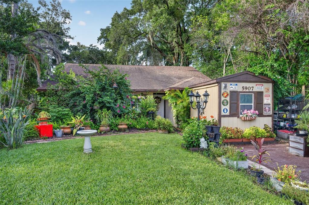 A single-story house with a brown roof, a shed, and a lush, landscaped front yard — 5907 UONA AVENUE, ORLANDO, FL