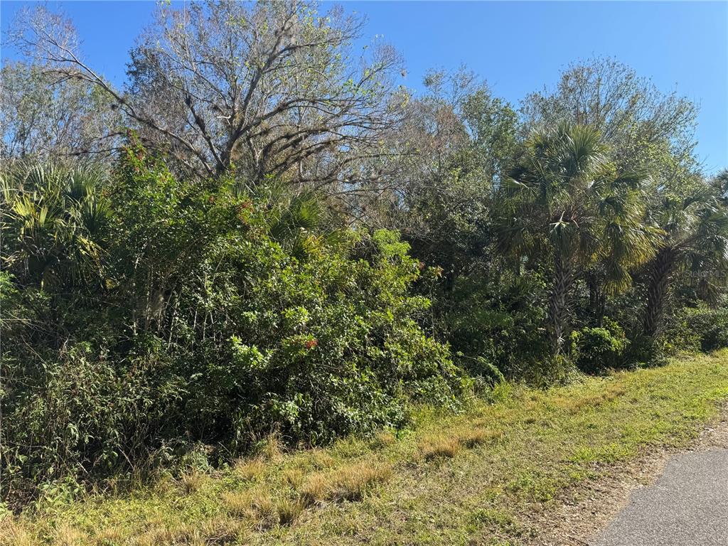 A dense, wooded lot with various trees and shrubs borders a paved road — 194 RAY STREET, PORT CHARLOTTE, FL
