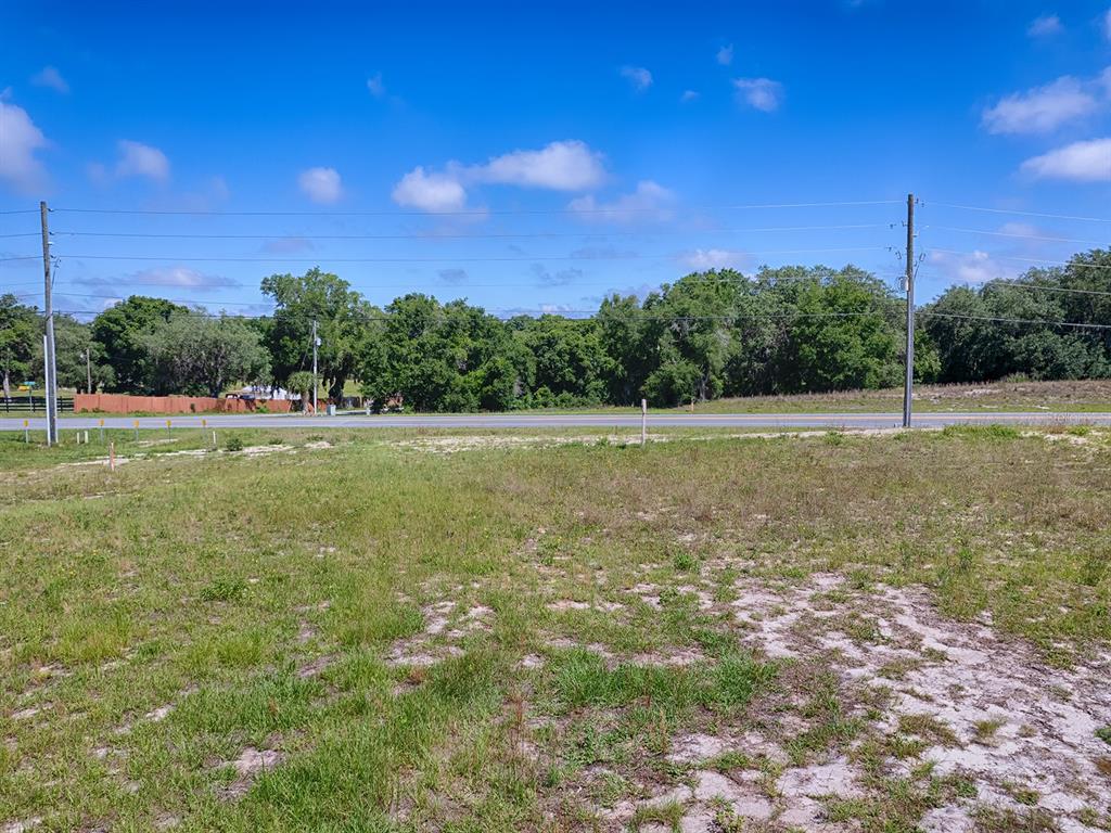 1891 S US 301, SUMTERVILLE, FL — photo 3 of 13
