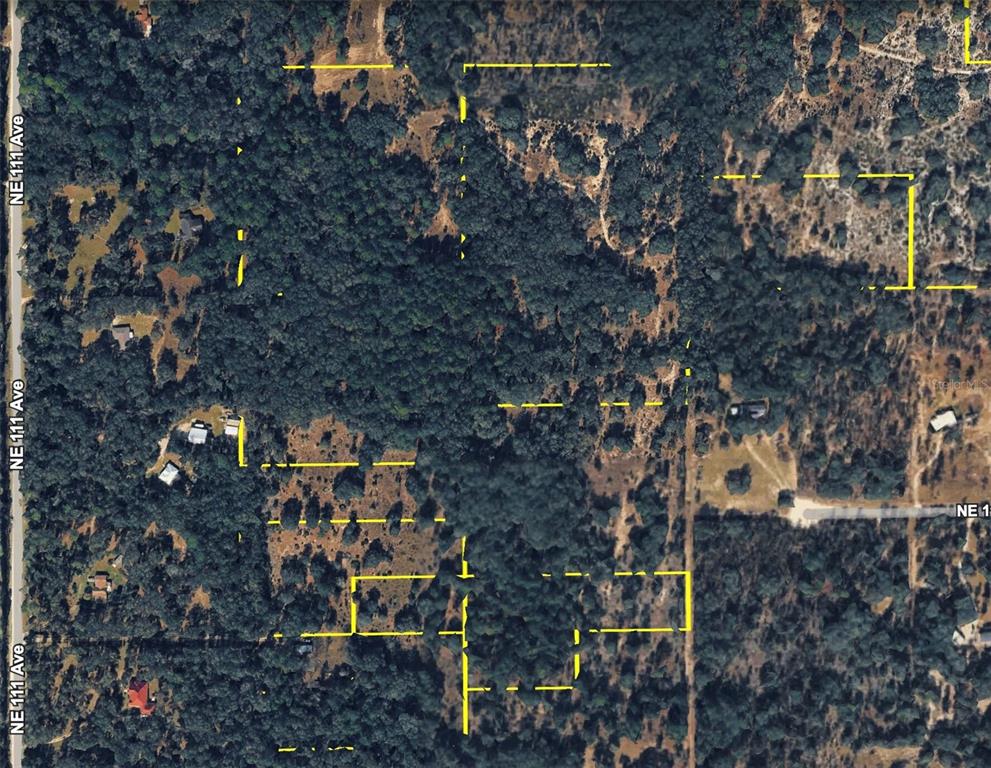 This aerial map shows a wooded plot of land with property boundaries outlined in yellow — 120 NE SR24 AVENUE NE, ARCHER, FL