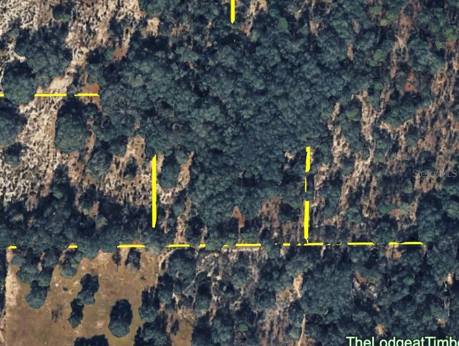 An aerial view of a wooded lot with yellow lines marking the property boundaries — 120 NE SR24 AVENUE NE, ARCHER, FL