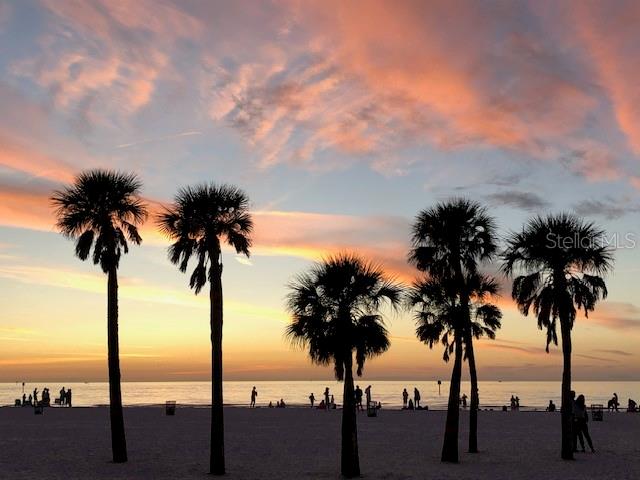 Silhouetted palm trees stand on a sandy beach against a colorful sunset sky — 833 LANTANA AVENUE, CLEARWATER BEACH, FL