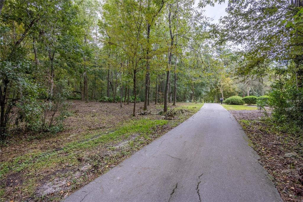 A paved driveway leads through a wooded lot with scattered trees and foliage — 3960 NW 30TH PLACE, GAINESVILLE, FL