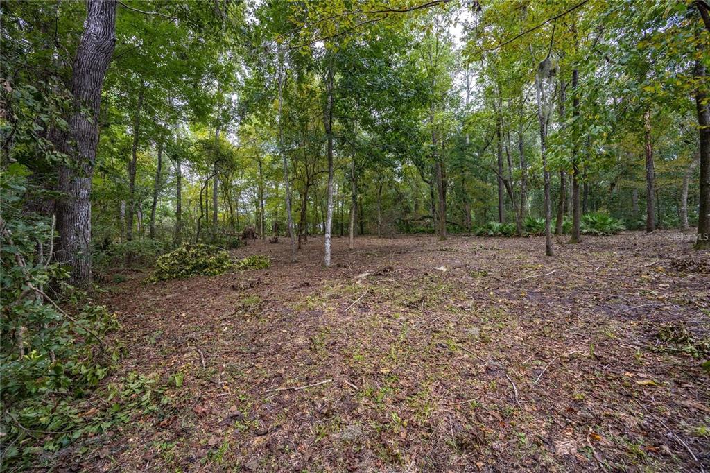 A cleared, wooded lot with scattered leaves and trees under a cloudy sky — 3960 NW 30TH PLACE, GAINESVILLE, FL