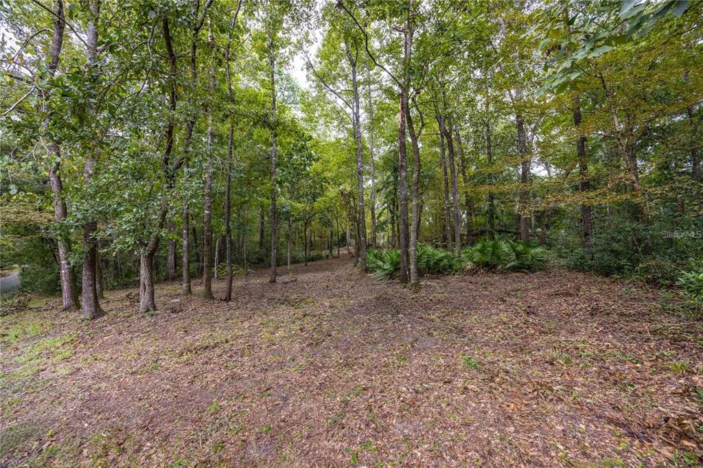 A wooded lot with a cleared area in the foreground and dense trees behind — 3960 NW 30TH PLACE, GAINESVILLE, FL