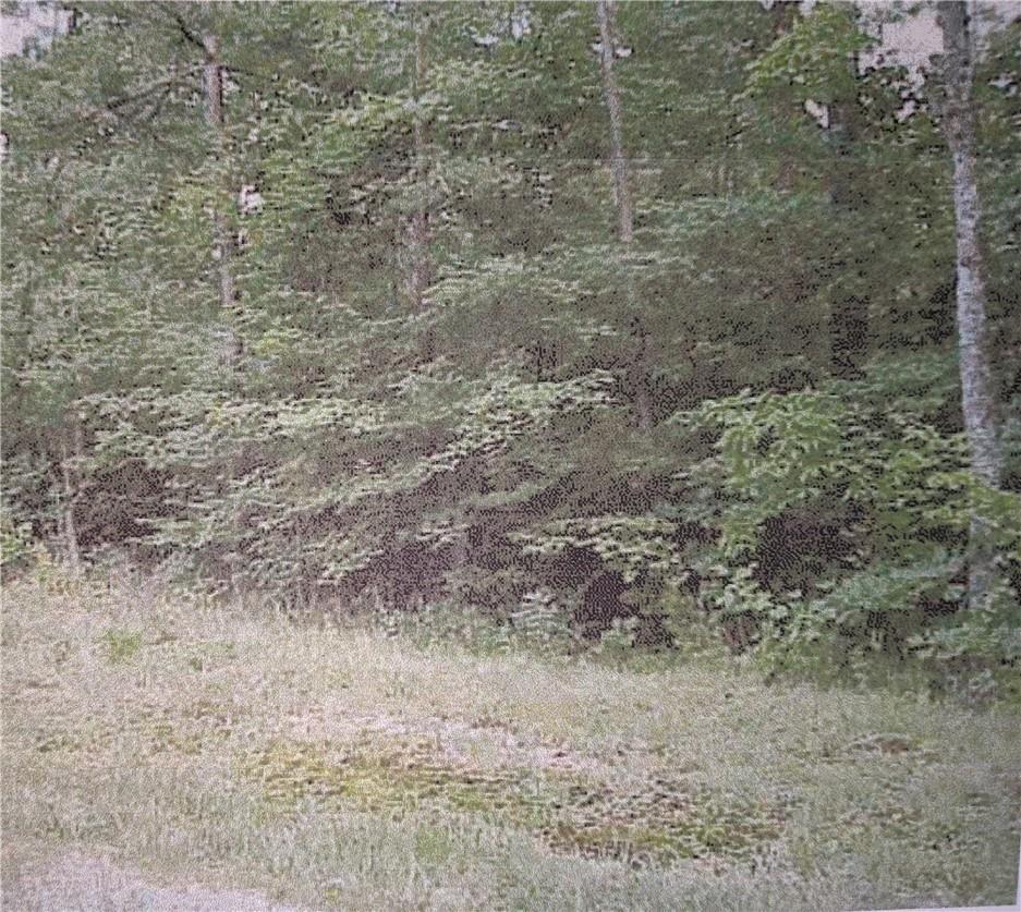 10 Street Place Loop, TN, TN — photo 4 of 5