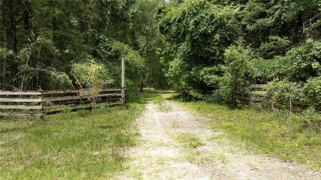 8530 NE 160TH AVENUE, WILLISTON, FL — photo 2 of 30