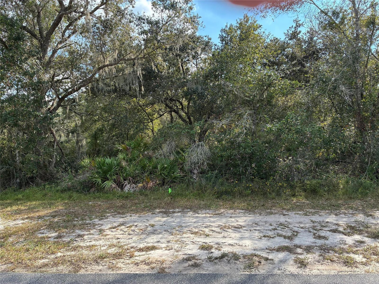 A sandy, undeveloped lot is bordered by dense trees and native palmetto bushes — 2521 Plumosa Drive, FL 33855, FL