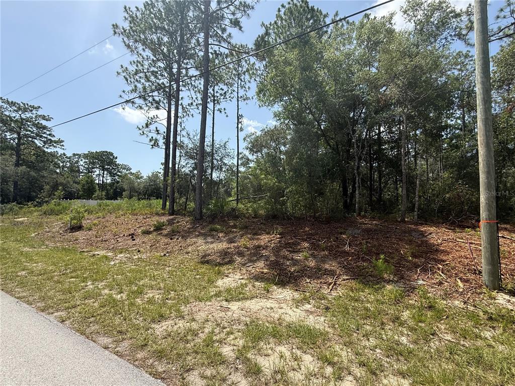 A wooded, undeveloped lot with sandy ground and a utility pole along a paved road — 7069 N SANTOS DRIVE, CITRUS SPRINGS, FL