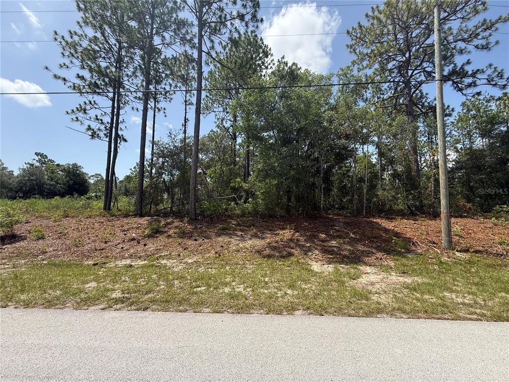 A vacant, wooded lot is viewed from the adjacent paved road — 7069 N SANTOS DRIVE, CITRUS SPRINGS, FL