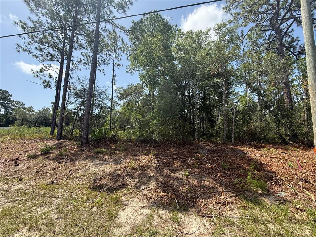 A wooded, undeveloped residential lot with sandy soil and scattered pine trees — 7069 N SANTOS DRIVE, CITRUS SPRINGS, FL