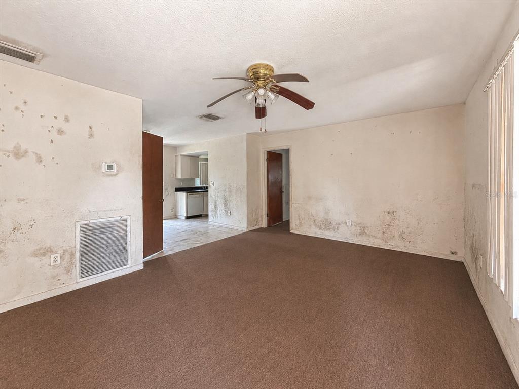 A living room with brown carpet and walls showing significant water damage and staining — 1918 E HANNA AVENUE, TAMPA, FL