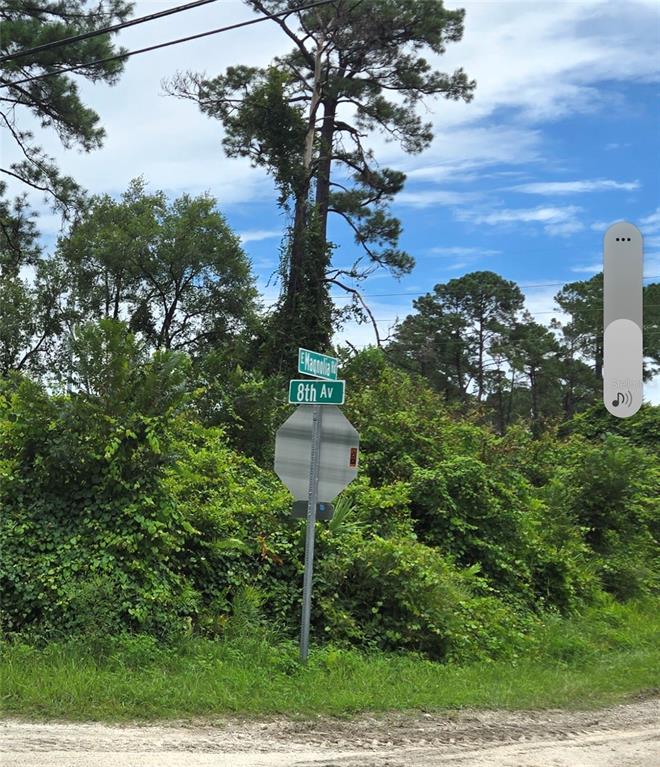 A street sign for E Magnolia Rd and 8th Av stands before a dense, wooded lot — 1201 8TH AVENUE, DELAND, FL