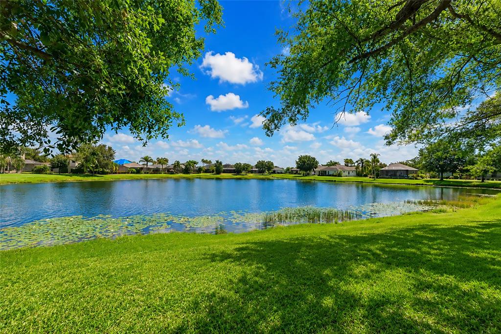 A grassy lawn overlooks a pond with lily pads and houses in the background — 4930 NEWPORT NEWS CIRCLE, BRADENTON, FL