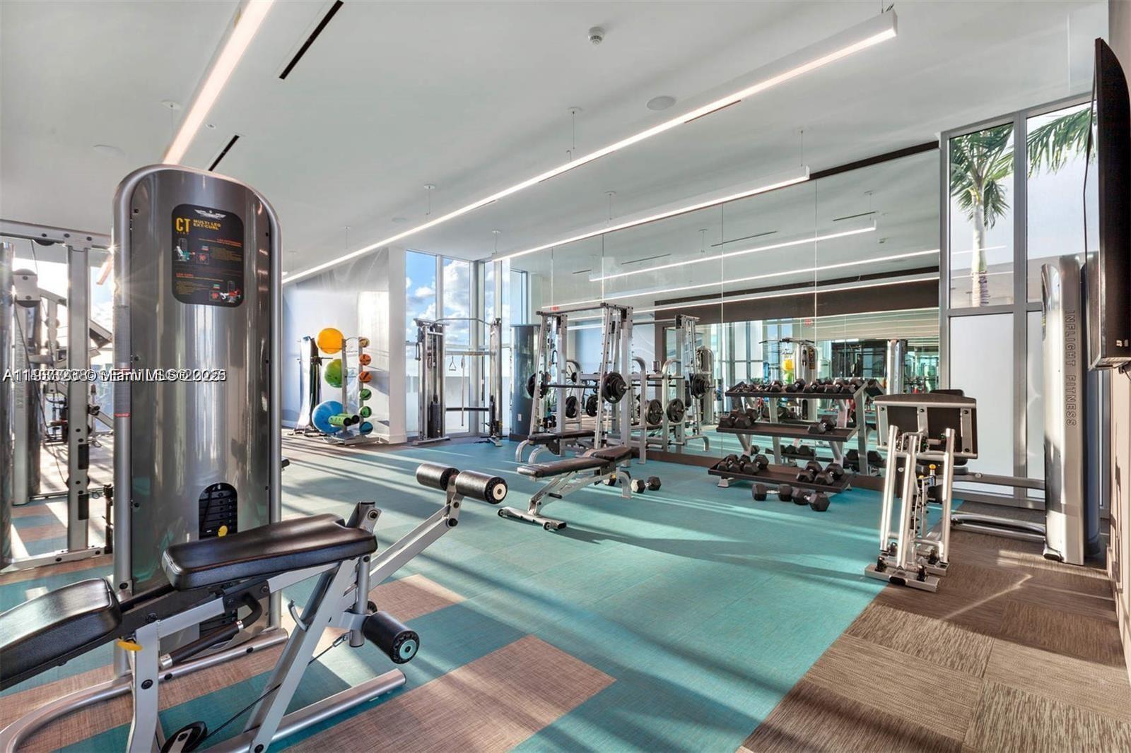 A modern gym features weight machines, a dumbbell rack, and large windows with outdoor views — 3900 Biscayne Blvd # 905, Miami FL 33137, MIAMI, FL