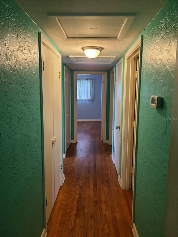 A hallway with turquoise textured walls, hardwood flooring, and multiple white interior doors — 217 NW 36TH STREET, GAINESVILLE, FL