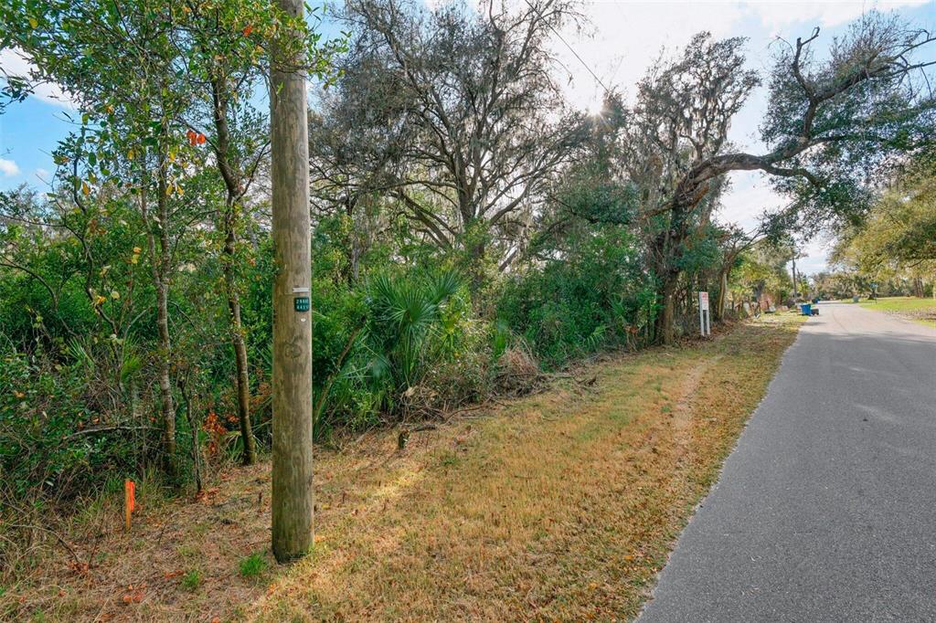 A wooden utility pole stands beside a narrow paved road bordering a wooded, undeveloped lot — 11119 BESSIE DIX ROAD, SEFFNER, FL