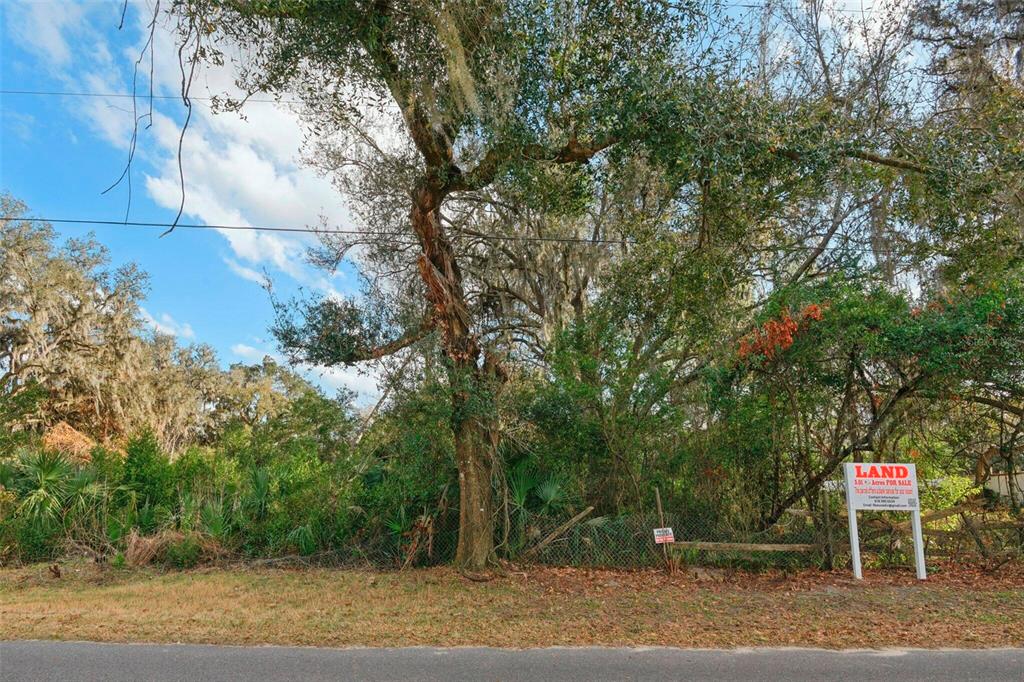 A wooded lot with a "Land for Sale" sign stands behind a chain-link fence — 11119 BESSIE DIX ROAD, SEFFNER, FL