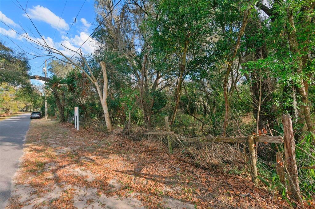 A wooded lot with a chain-link fence borders a paved road under a blue sky — 11119 BESSIE DIX ROAD, SEFFNER, FL