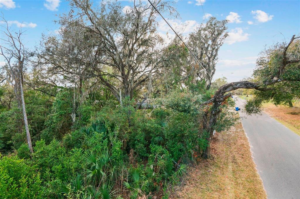 A paved road runs alongside a dense, wooded lot with large, moss-covered oak trees — 11119 BESSIE DIX ROAD, SEFFNER, FL