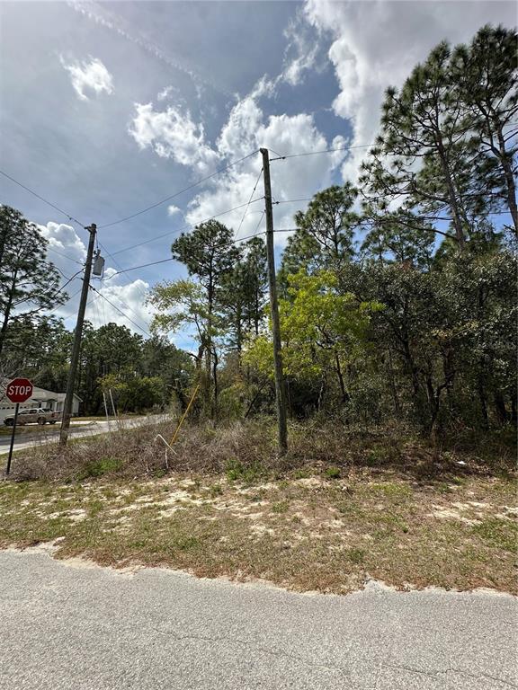 A vacant, wooded lot features two utility poles and a stop sign near a paved road — 2 FRINGETREE COURT, HOMOSASSA, FL