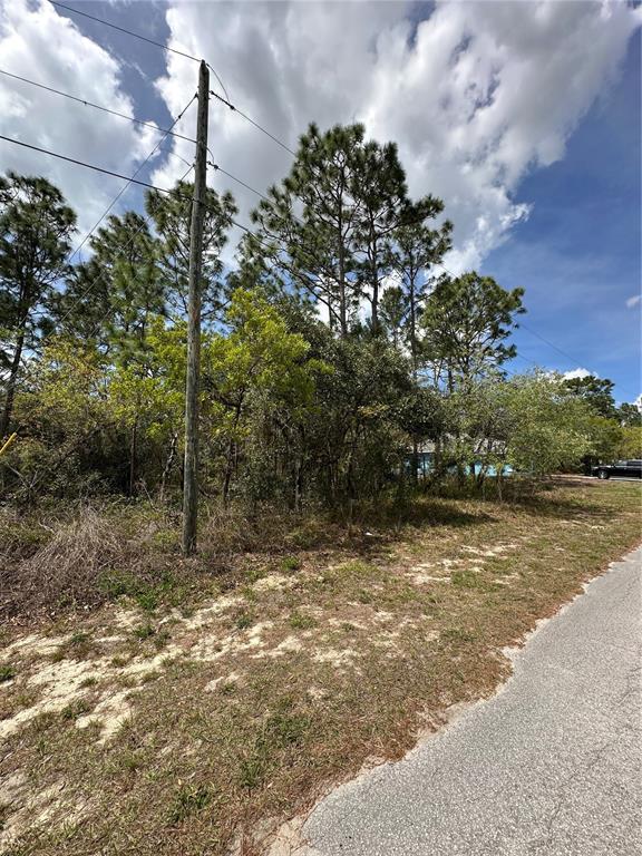A utility pole stands beside a wooded lot next to a paved road — 2 FRINGETREE COURT, HOMOSASSA, FL
