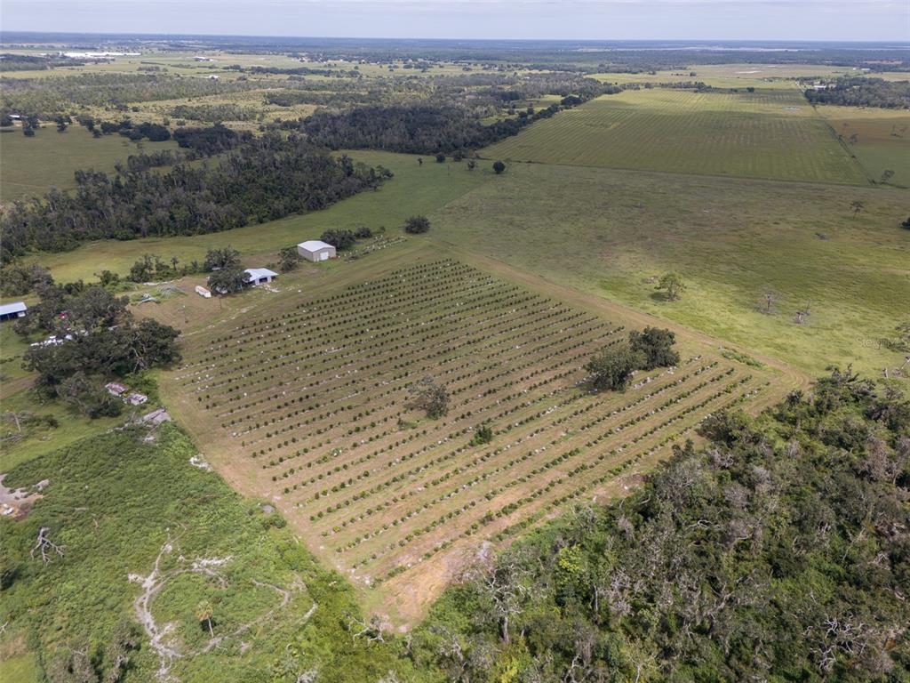 An aerial view shows a large agricultural field with rows of crops and several outbuildings — 32715 SINGLETARY ROAD, MYAKKA CITY, FL