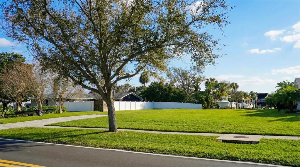 A grassy vacant lot features a large tree and a white fence near a road — 3904 DANA SHORES DRIVE, TAMPA, FL