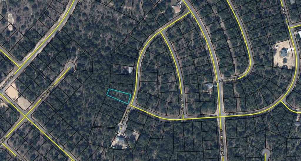 An aerial map view shows a vacant residential lot outlined in blue on a wooded street — Lot 13, Unit 2, Blk 254 EASTBROOK DRIVE, CHIPLEY, FL