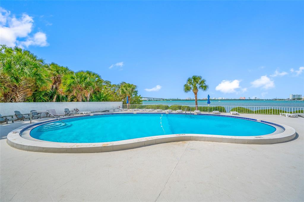 A kidney-shaped swimming pool sits on a concrete deck overlooking a bay and bridge — 500 N OSCEOLA AVENUE UNIT 810, CLEARWATER, FL