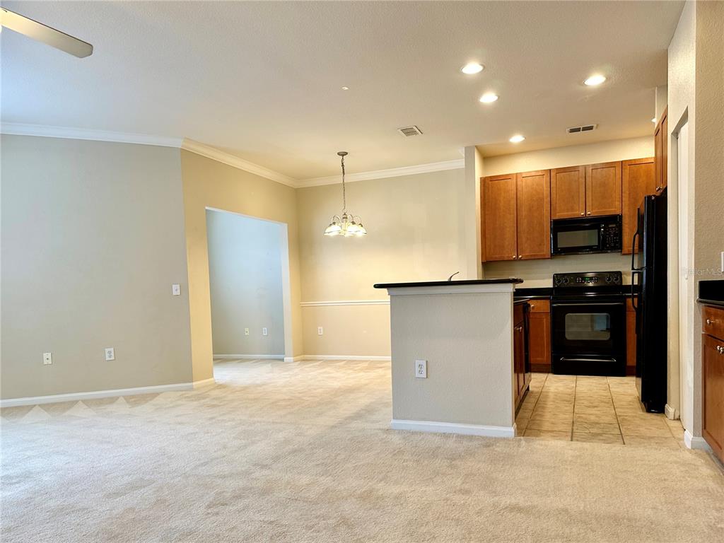 A carpeted living area opens to a kitchen with wood cabinets and black appliances — 2249 PORTOFINO PLACE UNIT 2221, PALM HARBOR, FL