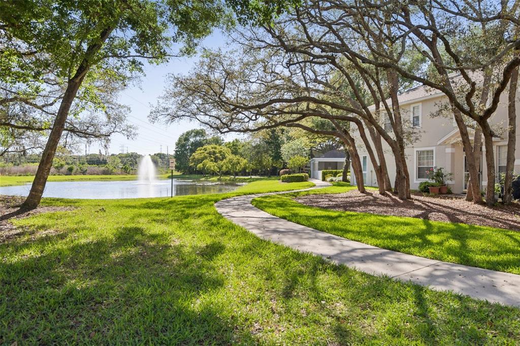 A paved walkway curves past a pond with a fountain and a multi-story residential building — 3661 COUNTRY POINTE PLACE, PALM HARBOR, FL