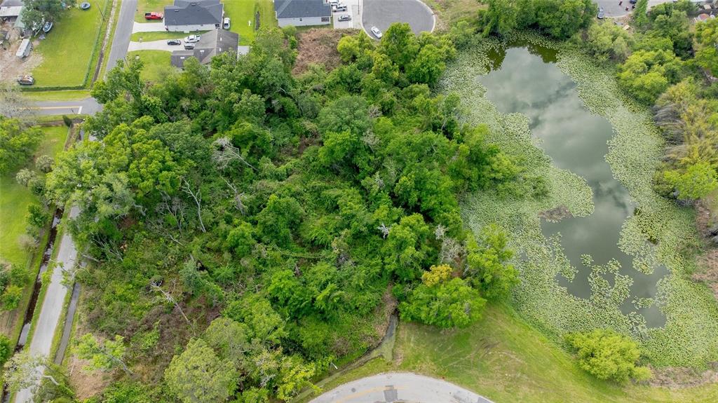 An aerial view shows a wooded lot situated between a residential street and a pond — N SEMINOLE LAKE BLVD, PLANT CITY, FL