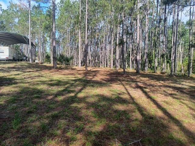 540 SW 326TH AVENUE, STEINHATCHEE, FL — photo 2 of 14