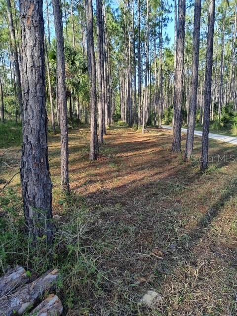 540 SW 326TH AVENUE, STEINHATCHEE, FL — photo 3 of 14