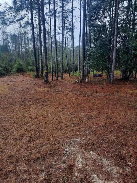 540 SW 326TH AVENUE, STEINHATCHEE, FL — photo 5 of 14