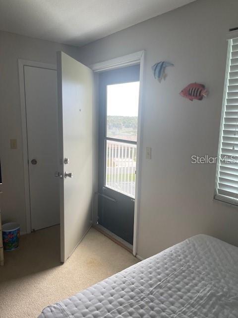 A bedroom features a beige carpet, a white door, a glass-paneled door, and fish wall decor — 3510 S OCEAN SHORE BOULEVARD UNIT 215, FLAGLER BEACH, FL