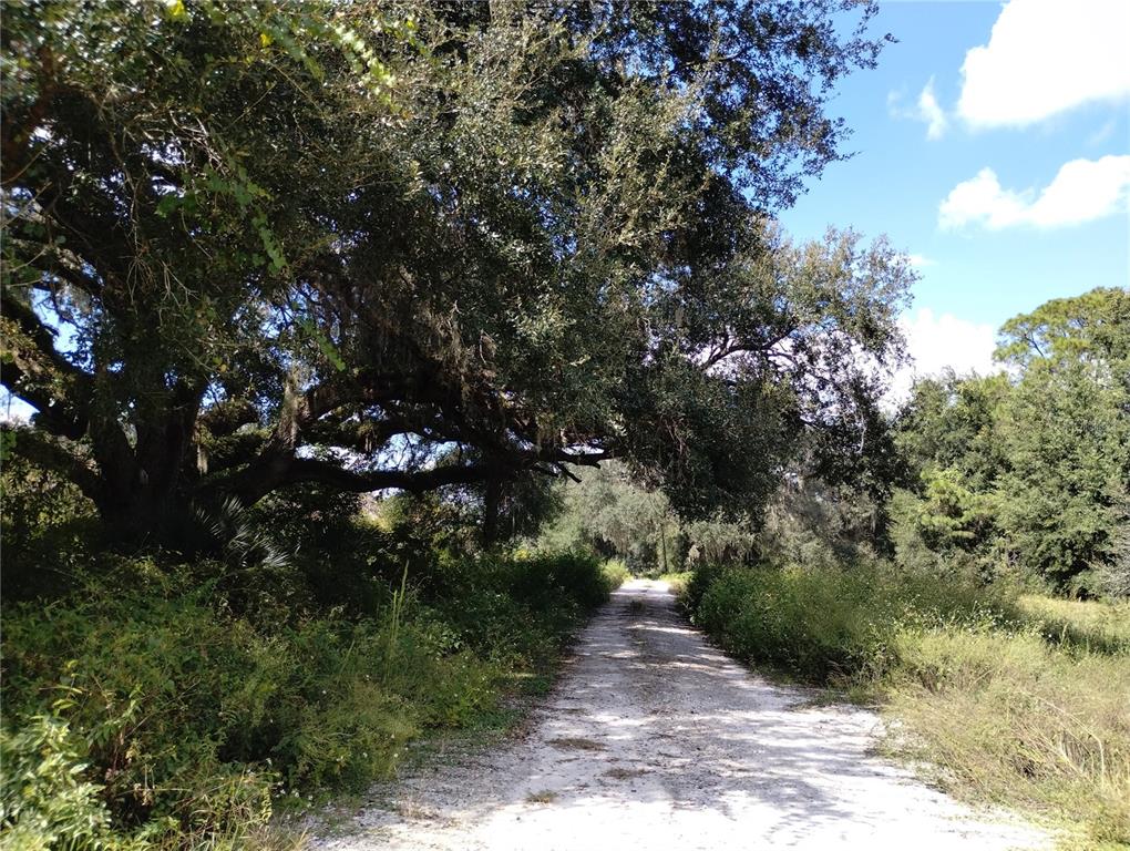 1826 SE 44TH PLACE, BUSHNELL, FL — photo 2 of 29