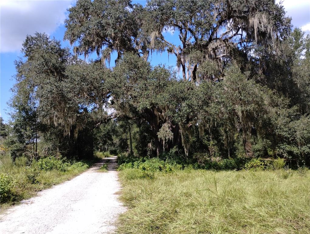 1826 SE 44TH PLACE, BUSHNELL, FL — photo 3 of 29