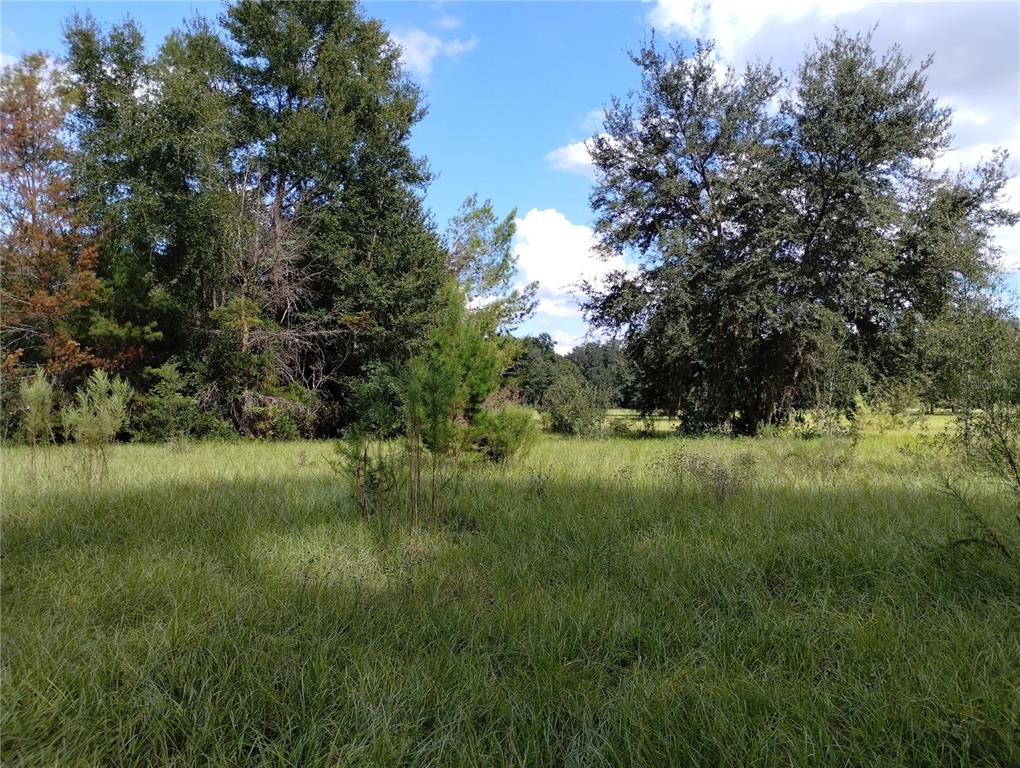 1826 SE 44TH PLACE, BUSHNELL, FL — photo 5 of 29