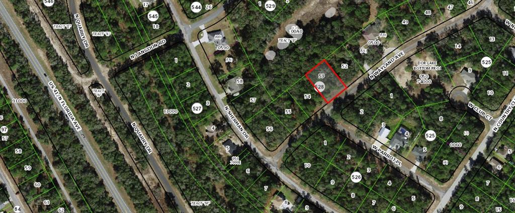 This is an aerial map showing a highlighted vacant lot located between N Sherman Drive and N Wayland Avenue — 9454 N WAYLAND AVENUE, CITRUS SPRINGS, FL