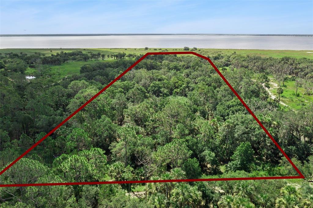 An aerial view shows a wooded plot of land outlined in red near a lake — CANVASBACK TRAIL, GENEVA, FL