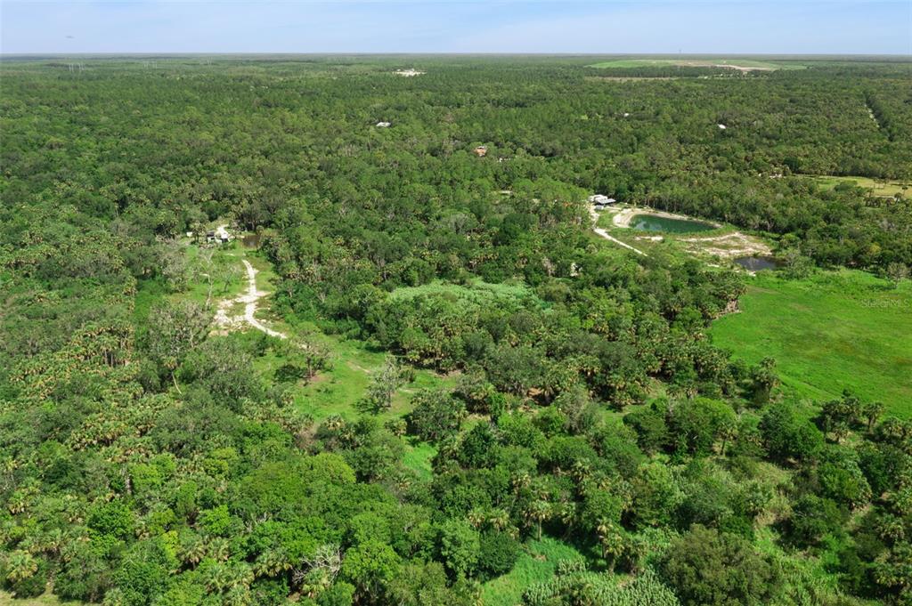 An aerial view shows a large, wooded lot with a dirt path and two small ponds — CANVASBACK TRAIL, GENEVA, FL