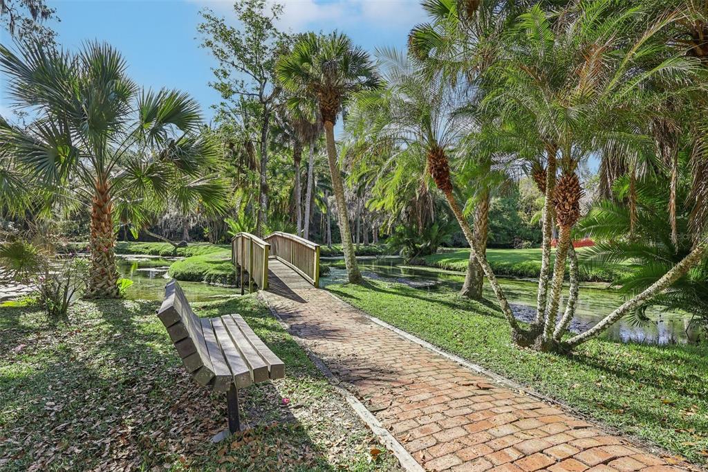 A brick path leads to a wooden bridge over a pond in a palm-filled garden — 116 CROWN OAKS WAY, LONGWOOD, FL