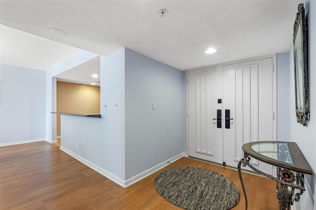 An entryway features light blue walls, wood-look flooring, a round rug, and double white doors — 1480 GULF BOULEVARD UNIT 1011, CLEARWATER BEACH, FL