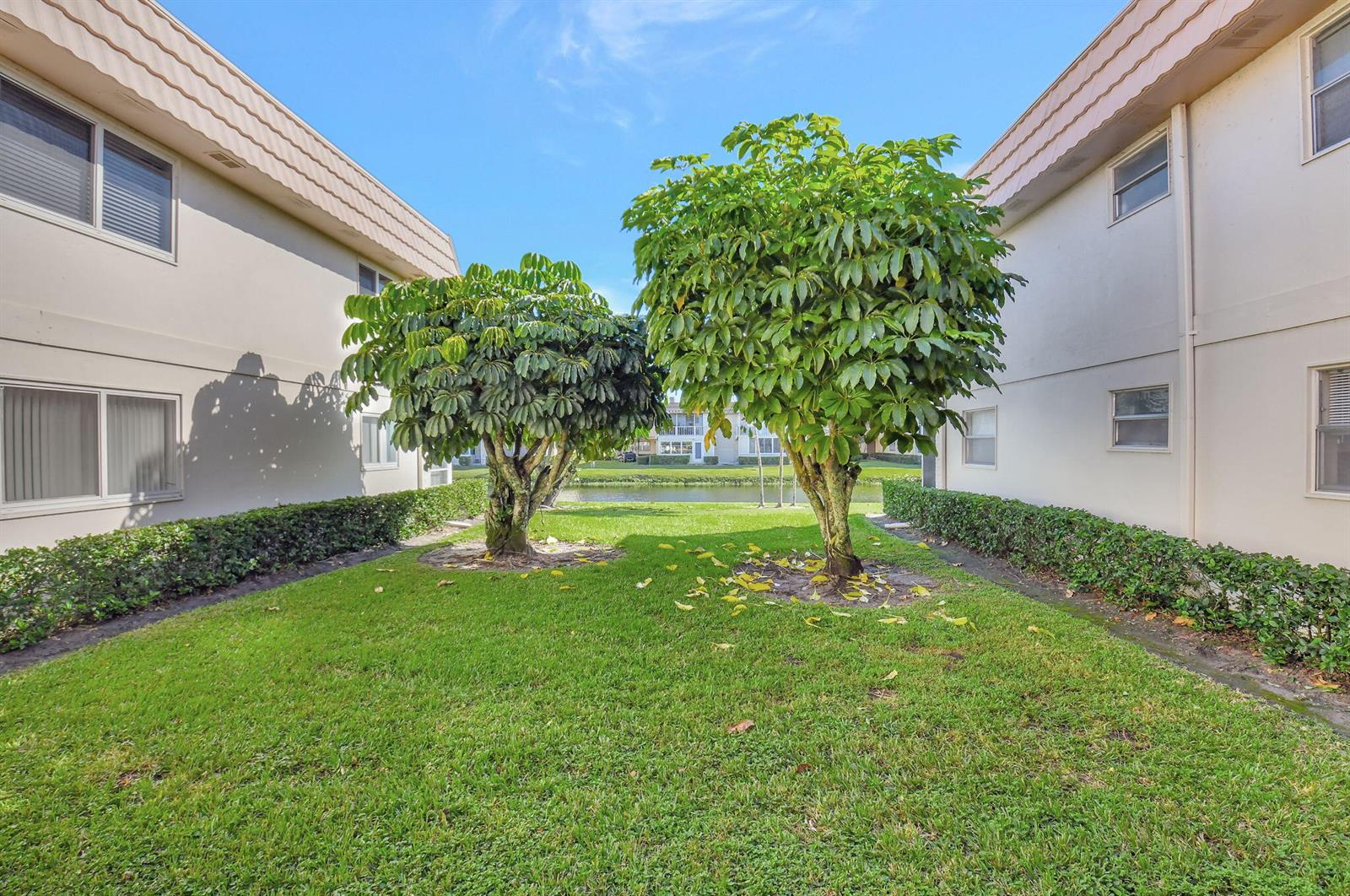 A grassy courtyard with two trees sits between two beige multi-story apartment buildings — 325 Saxony G, Delray Beach FL 33446, DELRAY BEACH, FL