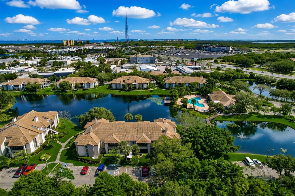10263 GANDY BOULEVARD N UNIT 2407
