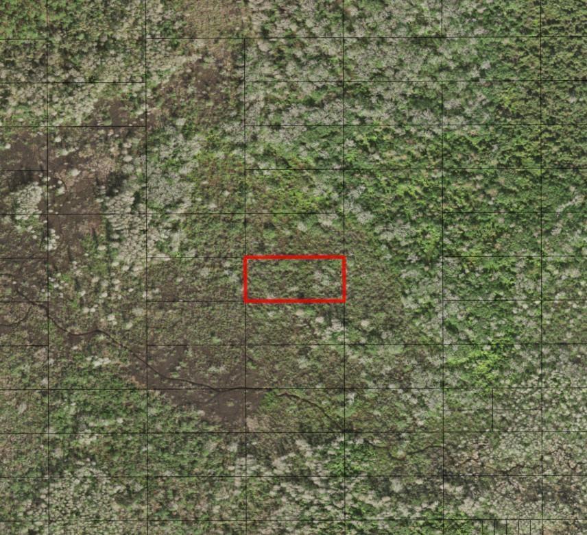 This is an aerial map view of a wooded plot of land with a red rectangle — 0 Holopaw Groves Road, FL 34772, FL