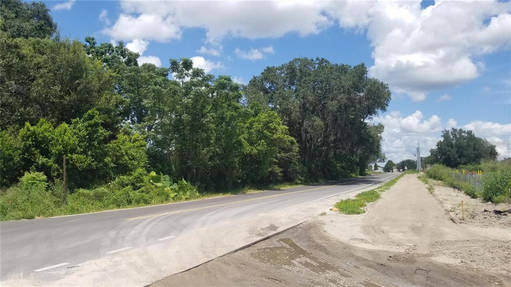A paved road runs alongside a wooded area and a dirt shoulder under a cloudy sky — 4137 NEW RIVER RD, ZEPHYRHILLS, FL