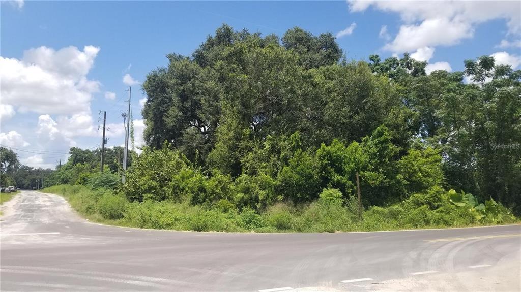 A large, tree-covered vacant lot sits at the corner of an asphalt road intersection — 4137 NEW RIVER RD, ZEPHYRHILLS, FL